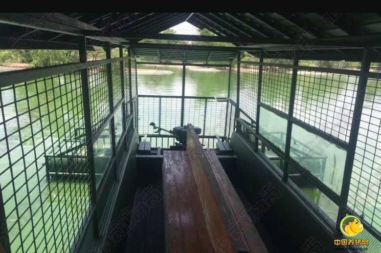 现场图。