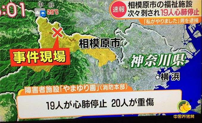 现场图。