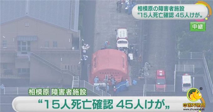 现场图。