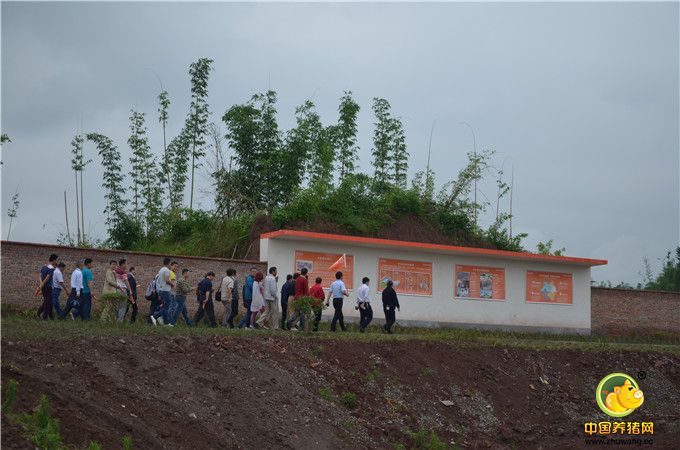 参观重庆天兆荣昌双河核心种猪场