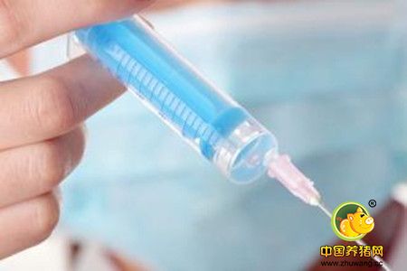 注苗反应的治疗方法