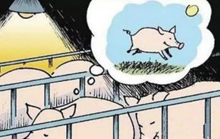 请随我一起关注动物防疫机制,增长见识!