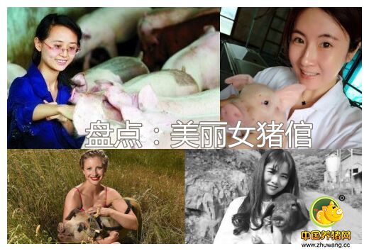 在这个花花世界里，很多人本可以靠外表吃饭，靠高学历吃饭，可是下面这些80、90后年轻的女生却靠自己的努力，靠自己坚定的意志，投身进养猪事业，奉献出自己的青春和智慧，向世人证明，美女不是花瓶，也能把养猪的活干好，把人生活出精彩的篇章！