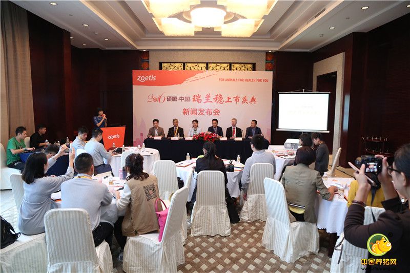 新闻发布会现场媒体群访