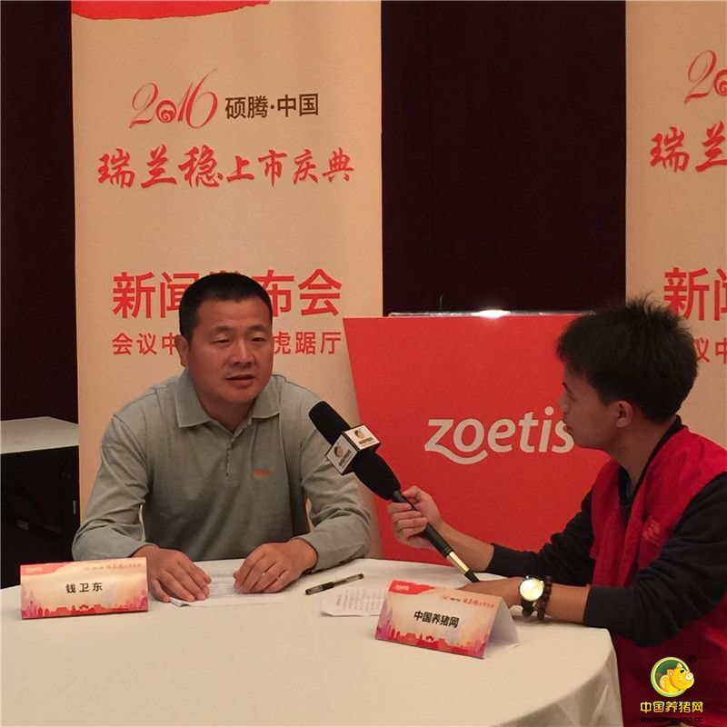 钱卫东先生接受中国养猪网采访