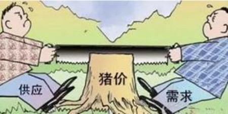 “谈蓝色变”的今天,我们如何提前预防蓝耳病的发生?