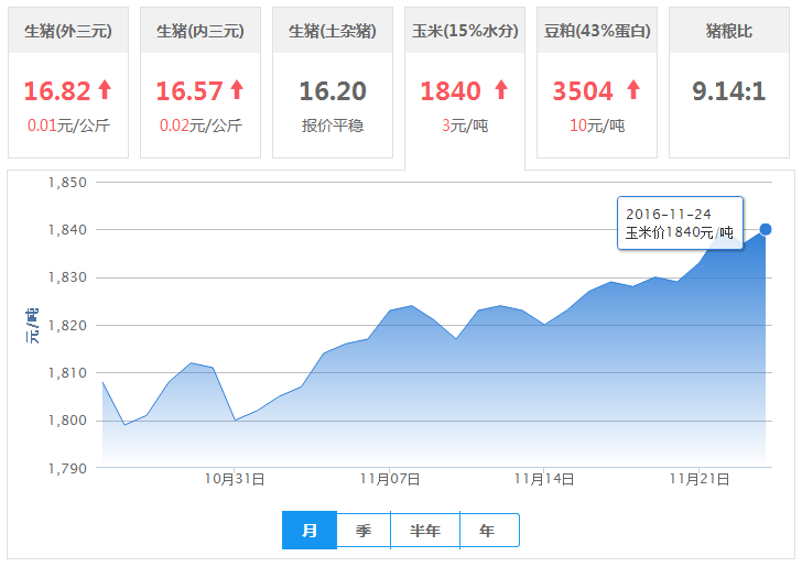 2016年11月24日全国玉米价格行情走势汇总
