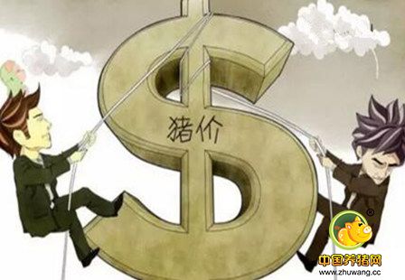 猪市陷入供需僵持局面 短期稳定格局或难改变