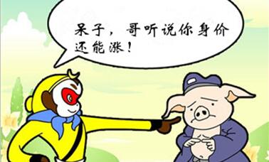 11月结束之际,猪价保持止跌反弹并涨幅扩大!