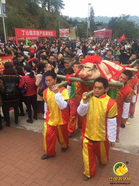 “三养綦江”是綦江区的城市旅游品牌，“养生养老养心”深入人心，得到消费者的广泛认可。冬季旅游养生季是綦江四季旅游品牌活动之一，而丁山湖第五届年猪文化节仅仅是冬季养生季十六场活动的“首映式”。