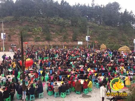 本次年猪文化节暨赶年节綦江分会场活动，由网上村庄安排了数位网红女主播，对本次赶年活动进行了在线直播，綦江区相关领导通过直播平台向全国30余万网红粉丝进行了宣传，邀请大家到重庆体验“三养綦江”。