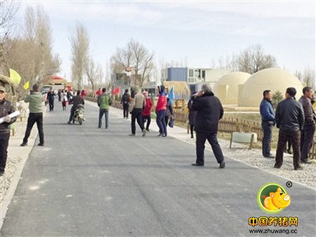 河套人曾有言道：“有钱没钱，杀猪过年。”到了天寒地冻时，河套地区家家户户都要杀猪，杀猪就要吃猪肉烩酸菜。据说猪肉烩酸菜在河套地区已有上百年的历史，堪称河套一绝。一代一代的巴彦淖尔人在猪肉烩酸菜的滋润中成长。