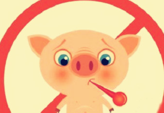 给猪治病有很多忌讳,这些事情一定不要做!