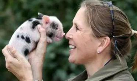 三种生猪常见内科病的防治措施