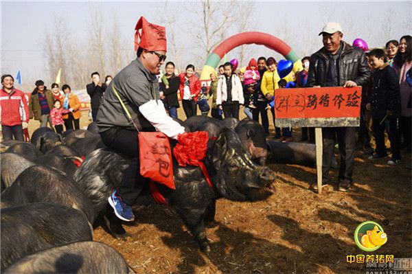 组织者苗希强在骑猪（群主）发红包。