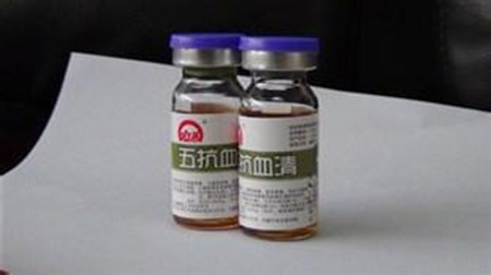 五号病又来了!莫怕,这样治疗才是王道!