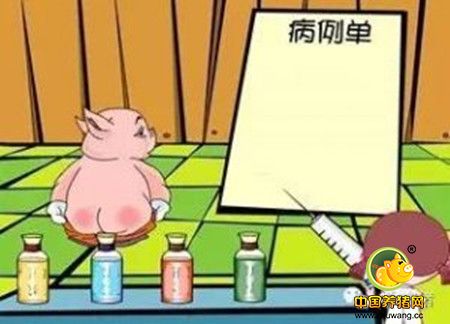 猪场疾病用药思路--都是实用的