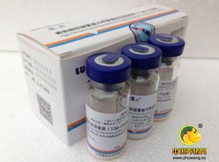 猪场疫苗怎么做?为你掀开养猪业的疫苗盖头