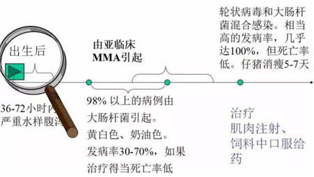 影响哺乳仔猪腹泻的因素及防治措施,养猪人必读!