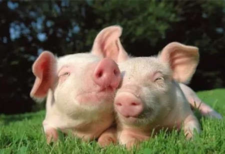 警记!春季要防控这10大疾病