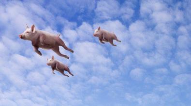 猪在不同饲养阶段的疫病汇总及防治