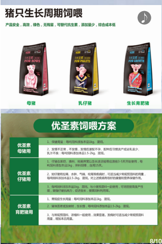 申亚新品  必属精品