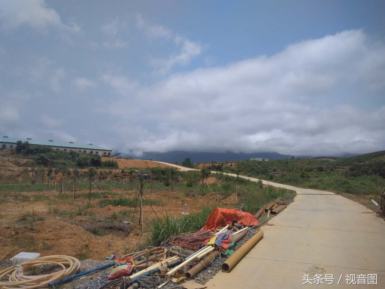 蓝盈盈的天，白悠悠的云，肥肥的猪宝宝。养猪就是养环境，好的环境不仅猪好养，人的心情也好。