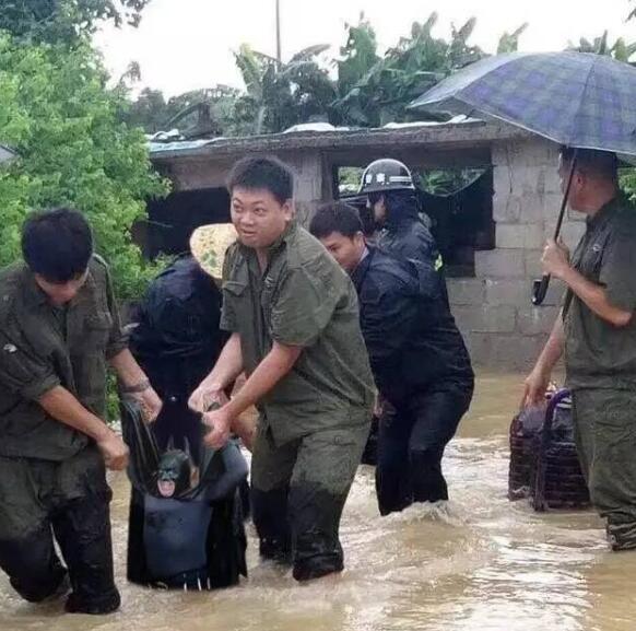 而且这猪还不仅仅在中国火了，还火到国外去了~