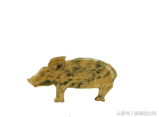 西周玉猪，为西周文物，高2.7厘米、长5.5厘米、厚0.6厘米。青玉。深豆青色。躬身而立，长嘴，大耳，端尾。现收藏于三门峡市虢国博物馆。