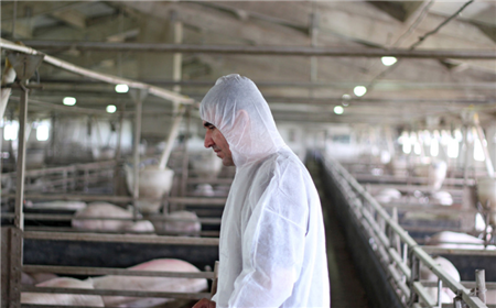 70%底层兽医用药不合理,养殖人该怎么办呢?