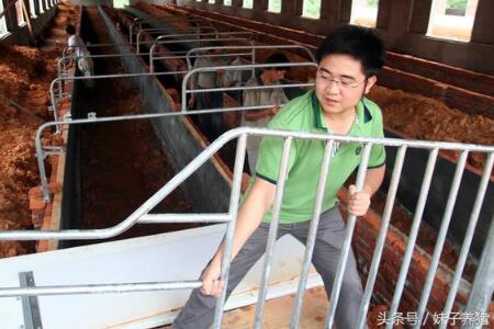 水灾后猪病的防控