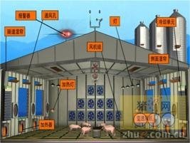 高标准猪舍