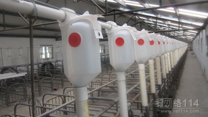 限料器