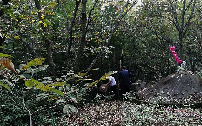 村民曾自觉的构造抓捕，然则难度很大，几回都没捉住，因为损坏庄稼太多，村民终极无法抉择了报警。 