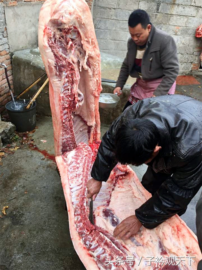 杀猪的小院，围观看热闹的邻居慢慢散去，师傅根据主家的要求把猪肉合理的拆分切割。 