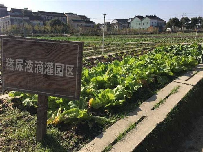 展厅里依次陈列着农用地膜、烧烤炭、生鲜托盘、皮鞋鞋跟等物品，它们可都是用猪粪炭做成的哦。比如，猪场种草莓用的农用地膜，就含有20%猪粪炭。猪舍里有小餐厅，大家端的生鲜托盘，也含有30%猪粪炭。才逛了个开头，记者就感叹：原来，农场出产的猪屎猪尿比猪肉还诱人，养猪场真是满满的黑科技。大屏幕秒变切肉车间展厅入口处放着几台鞋套机，进入猪舍里人人都要穿好鞋套。在这里要特别科普的是，猪圈因为防疫要求，我们是不能入内参观的，这件事，就连猪场老板也不例外。所以，大家通过猪圈监控，也可以看看猪的长势，然后在猪舍里的教室入座，通过大屏幕观看猪场视频。视频播放完，亮点就来了。