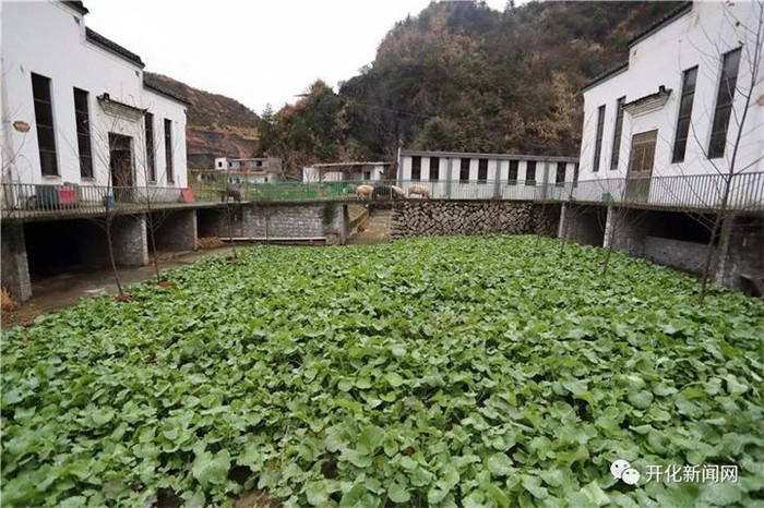 通过这次年会，汪小山接触到了各类学校的精英，并参观了小米、360、京东互联网公司，小米公司的总裁雷军亲自授课，分享企业发展经验。回来后，寝室的小伙伴们决定试水，汪小山向同学借了2000元，便开始了他们微信宝产品的代理。跑杭州、去上海，服装厂、珠宝品牌、早教类产品，让他们小赚一笔。