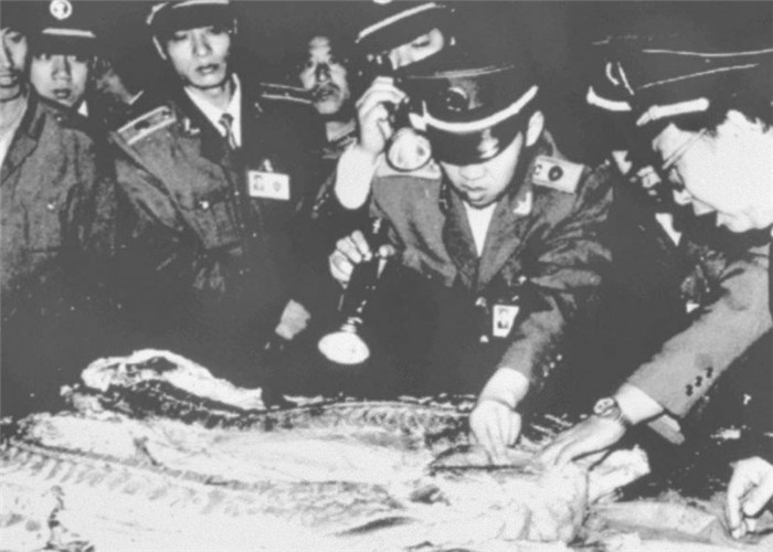 图为1996年5月11日，河北石家庄执法人员对批发市场的一批上市猪肉进行检查。 