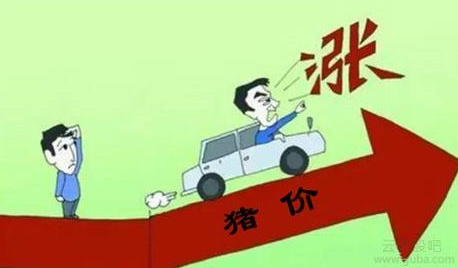 猪价连连上涨,是真的回春,还是有价无市?
