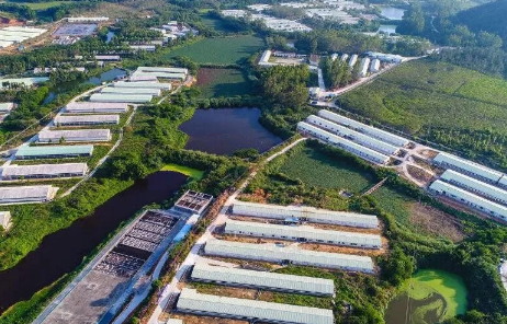 重要!外部、内部的生物安全你做到位了么?(上篇)