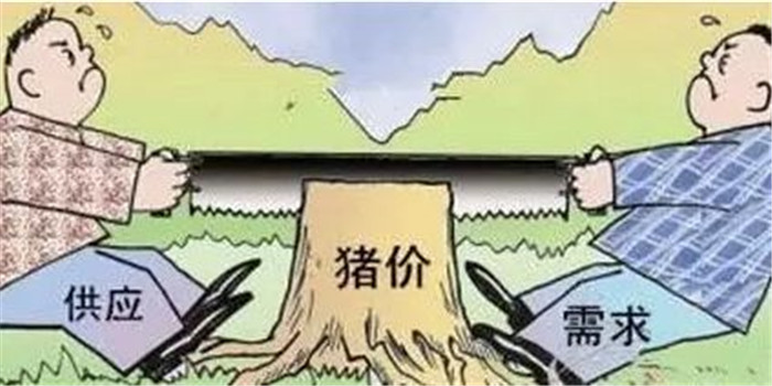 供应量远远超越市场需求，加上政府大量进口猪肉，刺激到小型养殖户的内心了，扎心了应该说 