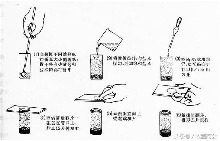 用于体内蛔虫、棘头虫、食道口线虫、肺丝虫、猪肾虫等感染程度检测和驱虫效果的检验。