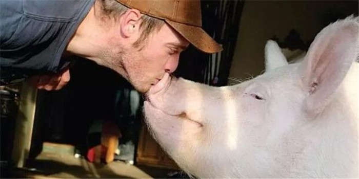 在流行养猫养狗的时代，这位来自加拿大的男子，他最喜爱的宠物是家里的迷你猪。 