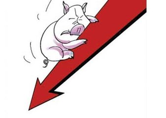 2018年03月24日全国外三元生猪价格行情涨跌表