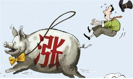 老养殖户说,再保持两批猪掉价,他们的春天就来了!你怎么看?