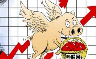 有人说:再有7天猪价就会上涨,你认为呢?