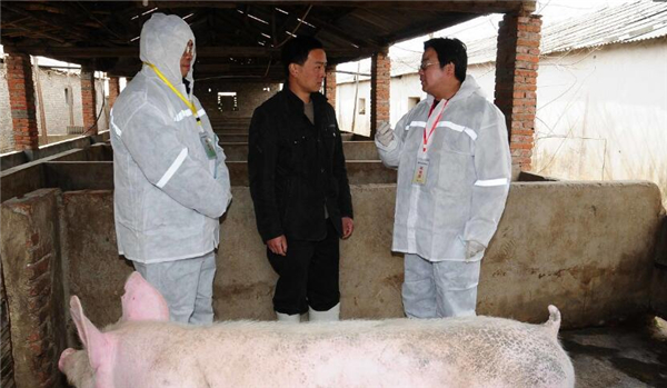 7、投身养殖十几年，最后就剩烂猪圈，如今养猪像赌博，价格就像过山车，提心吊胆把猪喂，还要按时搞防疫，晚上粉料大半夜，其中辛酸无处说，过节过年也如此，所有心血全倾注，有心放弃去转行，这是全部的家当，有心坚持继续养，前途渺茫没希望，振兴农村抓经济，养猪该往那里去？