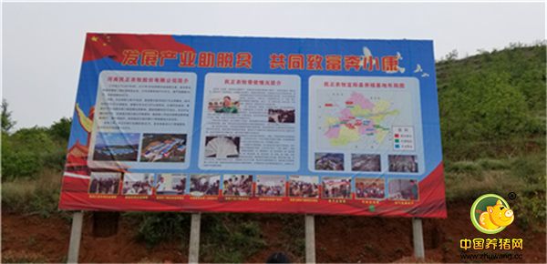 1、中国养猪网走近养猪人，走进南阳县民正农牧！