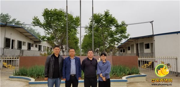 3、中国养猪网走近养猪人，走进新野县星火农牧！