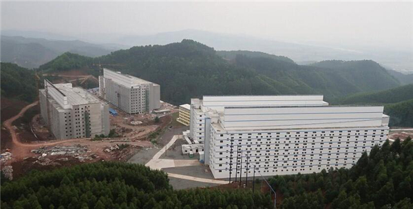 1、广西的一家私企盖起了两座专门养猪的7层大楼，目前正在建设的另一栋高达13层豪华大厦也将被用来养猪。